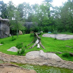 Jul. 2013 - Africa - Southeast African Lion Exhibit