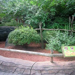Jul. 2013 - Childrens Zoo - Gopher + Radiated + Red-footed Tortoise Exhibit