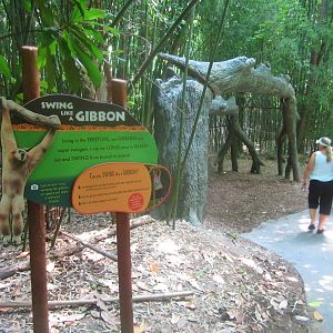 Jul. 2013 - Jungle Trails - Swing Like a Gibbon