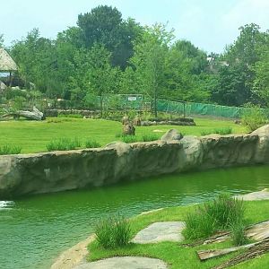 Jul. 2013 - Africa - African Plains + Lion Exhibit Barrier