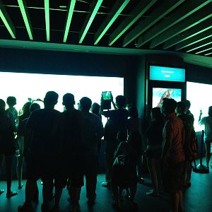 S.E.A. Aquarium - Dolphin Island