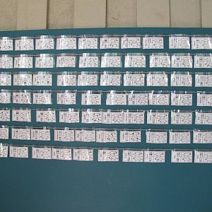 Tasmanian Devil ID Board - Healesville Sanctuary 2013