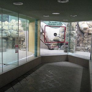 Inside Carnivore House