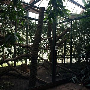 Walsrode Birdpark - Tropenwaldhalle