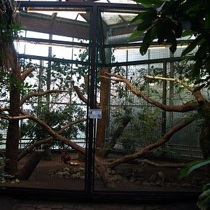 Walsrode Birdpark - Tropenwaldhalle