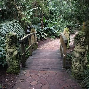 Walsrode Birdpark - Tropenwaldhalle