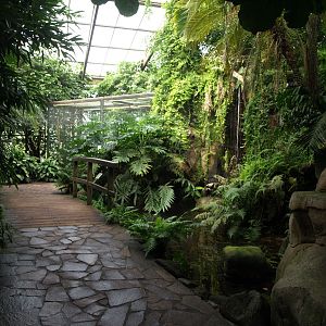 Walsrode Birdpark - Tropenwaldhalle