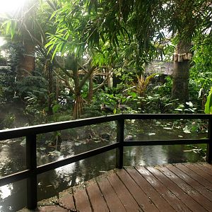 Walsrode Birdpark - Tropenwaldhalle