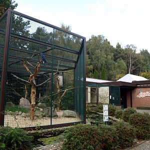 Walsrode Birdpark - Lori-Atrium