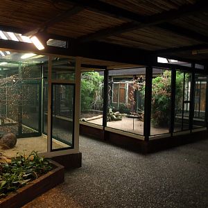 Walsrode Birdpark - Lori-Atrium