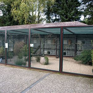 Walsrode Birdpark - New Caledonian aviary