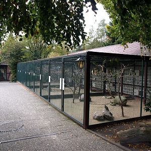 Walsrode Birdpark - Parrot exhibits