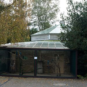 Walsrode Birdpark - Parrot House