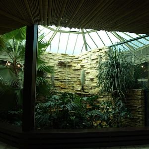 Walsrode Birdpark - Parrot House