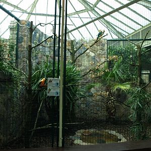 Walsrode Birdpark - Parrot House