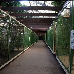 Walsrode Birdpark - Paradieshalle