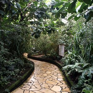 Walsrode Birdpark - Paradieshalle