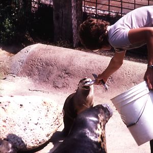 Keeper with Otter and Grey Seal - 1987