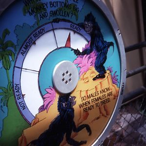 Interactive Graphic, Primate - 1987