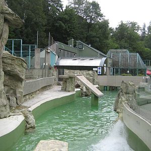 Sea Lion pool