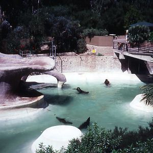 Pinniped pools - 1992