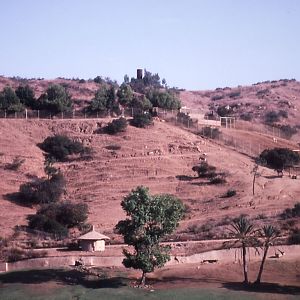 Kiang enclosure - 1992