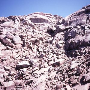 European Mouflon exhibit - 1992