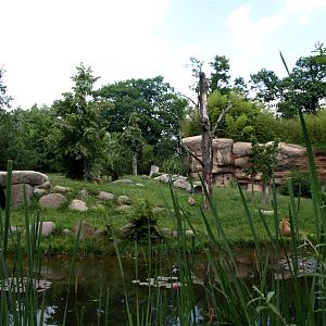 Leipig Zoo - Lion exhibit