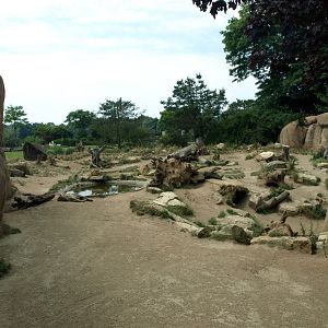 Leipzig Zoo - Hyena exhibit