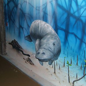 Part of the ramp down to the Mangrove tanks