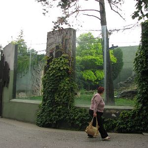 Jaguar exhibit at zoo Olomouc