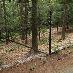 Jackal enclosure at Zoo Olomouc