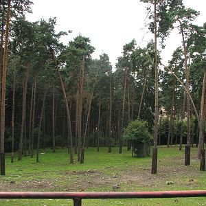 Sika deer enclosure at Zoo Olomouc