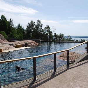 Seal and penguin pool