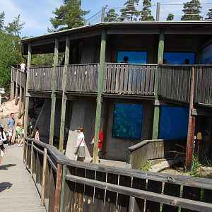 Seal and penugin pool