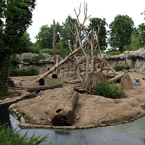 Leipzig Zoo - Bear/macaque exhibit