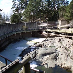 Build fore Snowleopards