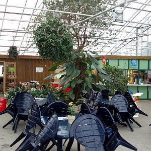 Gron Verden - Entrance