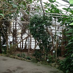 Gron Verden - Vervet monkey exhibit