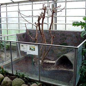 Gron Verden - Monitor exhibit