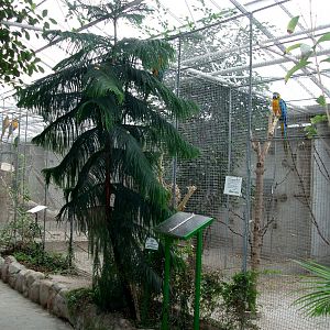 Gron Verden - Parrot aviaries