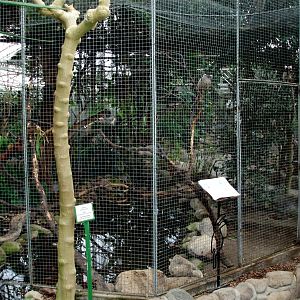 Gron Verden - Marmoset exhibit