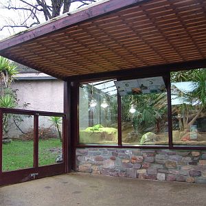 Enclosure for Tortoises and Iguana at Bristol Dec 08