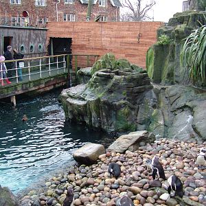 Seal and Penguin Coasts aviary at Bristol Dec 08