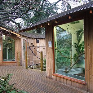 Callitrichid housing at Bristol Dec 08