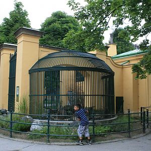 lion exhibit - zoo trip europe 2008
