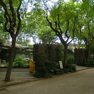 Barcelona Zoo - Gorillas