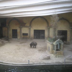 Hamburg Zoo - Elephant indoor exhibit
