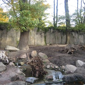 Hamburg Zoo - Kamchatka bear exhibit