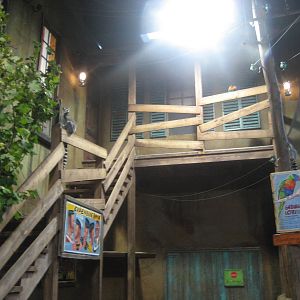 Hamburg Tropen Aquarium - Ring-tailed lemur exhibit